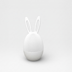 Easter Bunny Egg Container