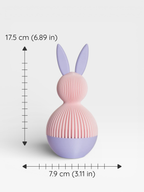 Easter Bunny Gift Box