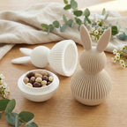 Easter Bunny Gift Box
